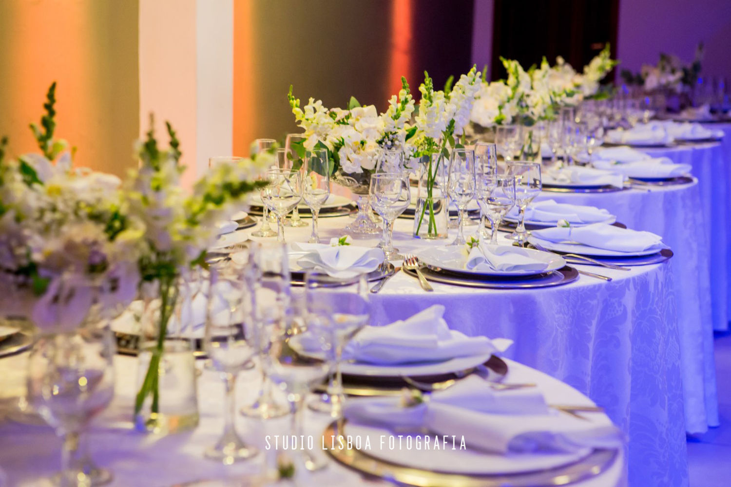 Foto Wedding Julia & Renato Foto Wedding Julia & Renato - Imagem 105