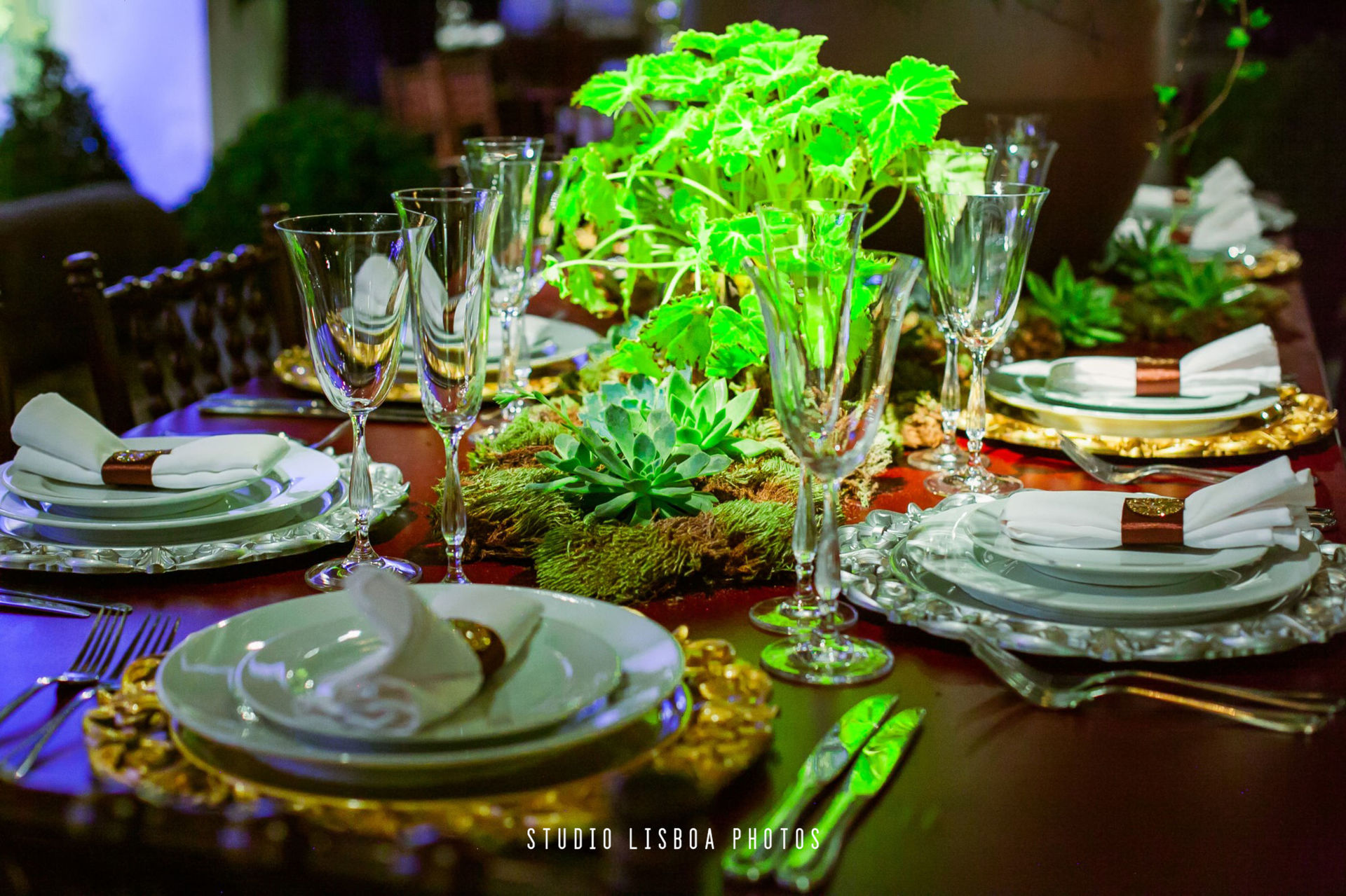 Foto Wedding Maria Claudia & José Eduardo Foto Wedding Maria Claudia & José Eduardo - Imagem 71